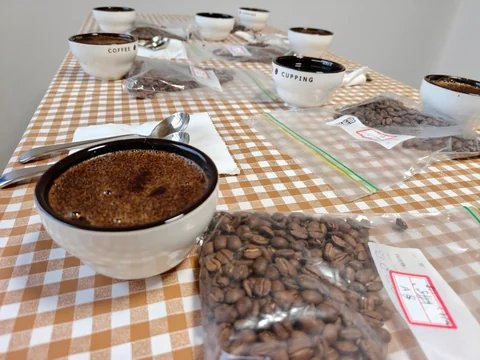 Coffee Cupping Session