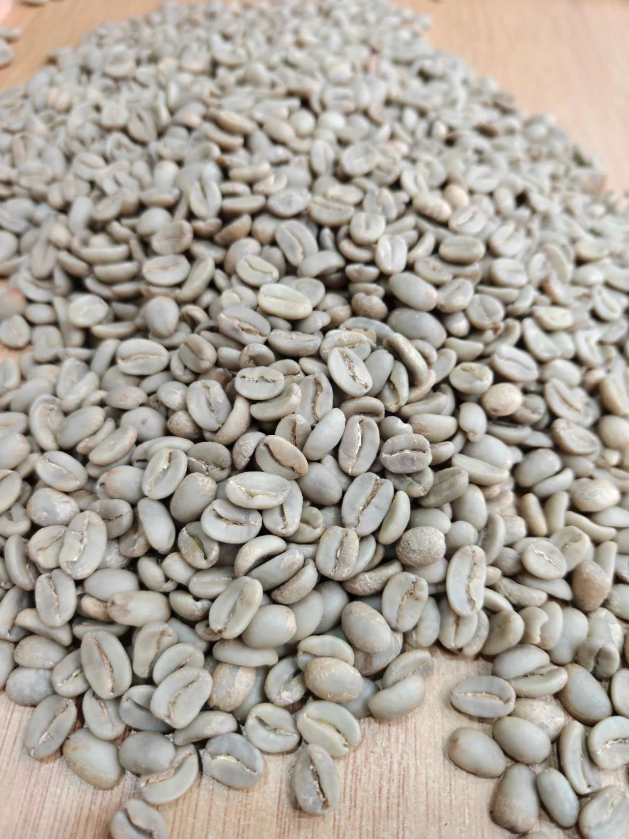 Greenland Coffee Limited 生豆